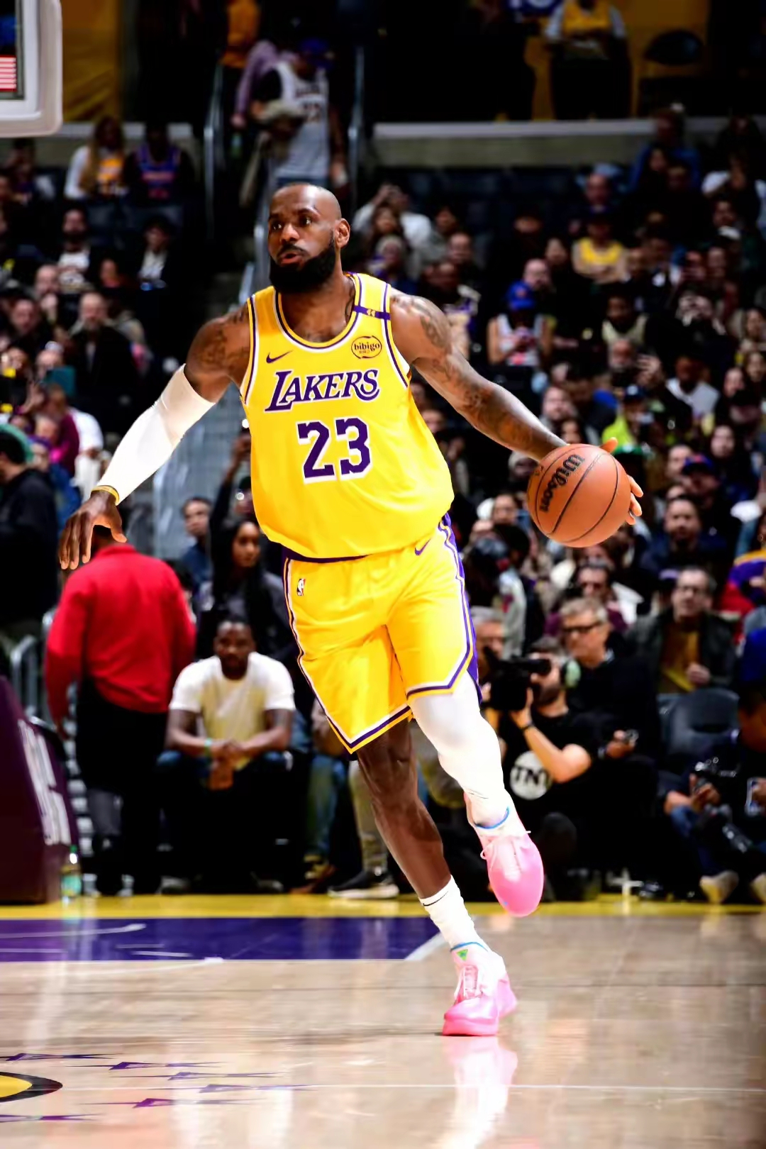 公牛力克步行者,詹姆斯高光表现 公牛力克步行者,詹姆斯高光表现