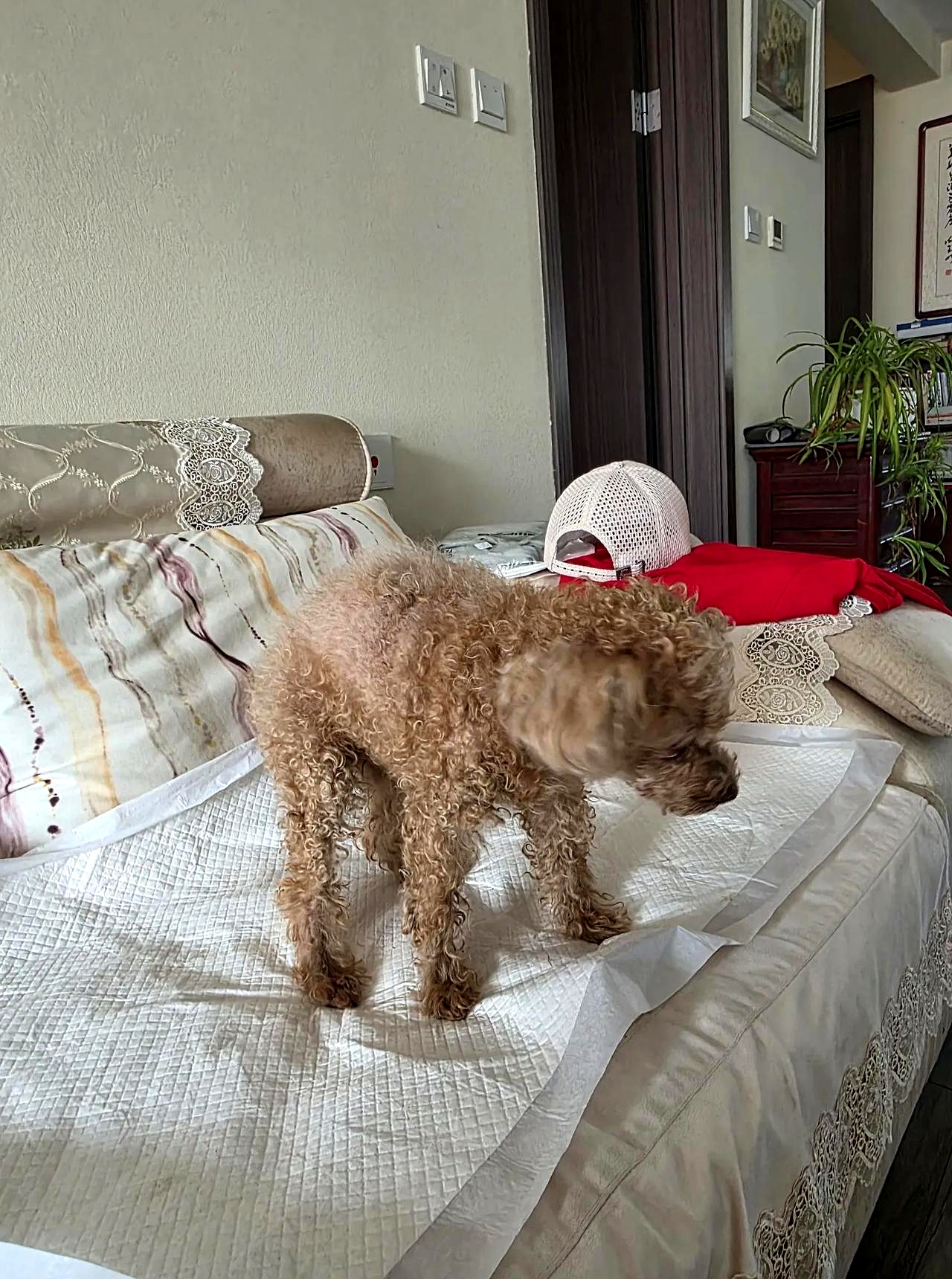 尼克斯血洗灰熊，波特打破历史纪录