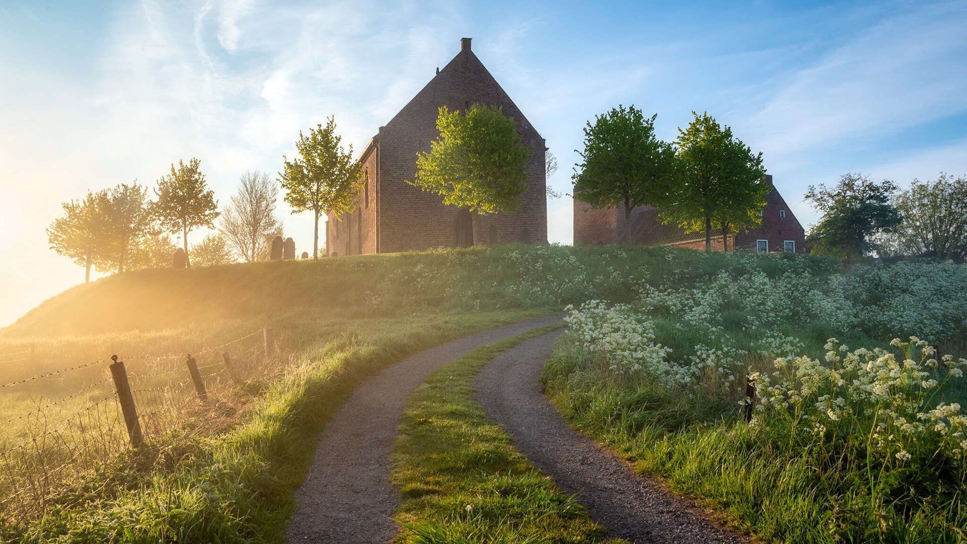 灰熊关键战突围公牛，英格拉姆惊艳四座，一场定义赛季的华丽逆袭