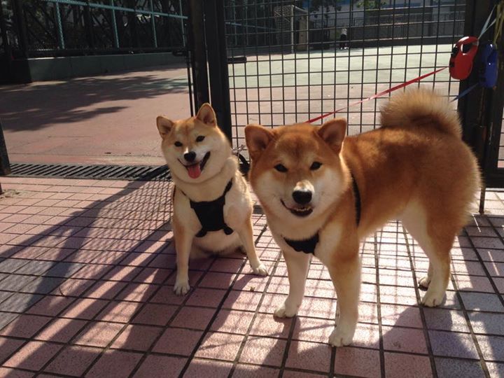 德甲争冠战之夜，梅西对手完全无解